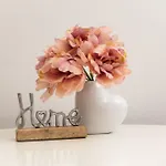 & Dream *